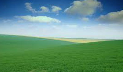Greenfield