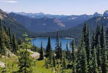 Washington