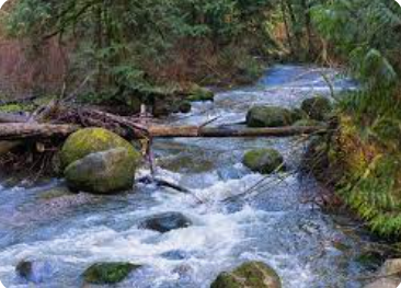 streams