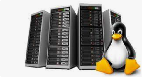 Linux Web Hosting