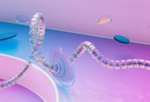 network contact numbers provided