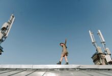 telecom risk control numbers