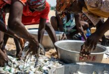 enterprise activity register numbers