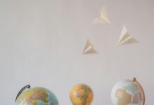 innovation identifiers and codes