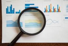 insight review document summary