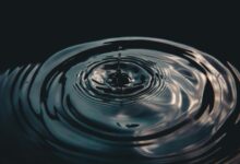 strategic momentum analysis report