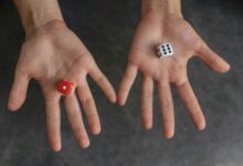 unique opportunity for partnerships