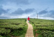 velocity horizon coordinates listed