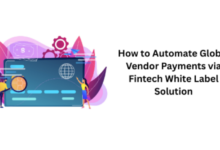 How to Automate Global Vendor Payments via Fintech White Label Solution