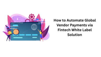 How to Automate Global Vendor Payments via Fintech White Label Solution
