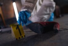 number registry evidence search