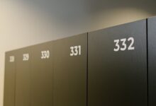 number registry profile search