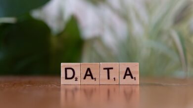 public database phone lookup
