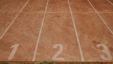 public number registry tracking