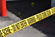registry investigation summary needed